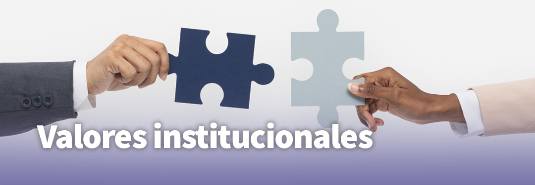 6-valores-institucionales